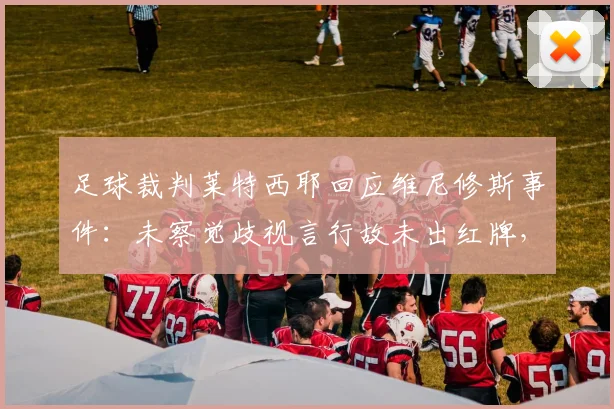 足球裁判莱特西耶回应维尼修斯事件：未察觉歧视言行故未出红牌，判罚规则与细节深度解析