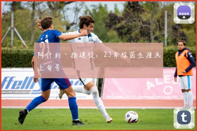 阿什利·扬退役，23年绿茵生涯画上句号